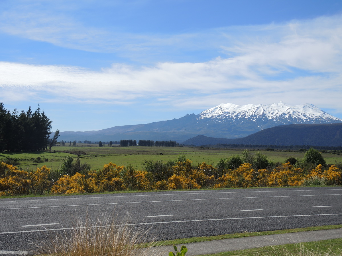 23. – 25.11., Tongariro National Park