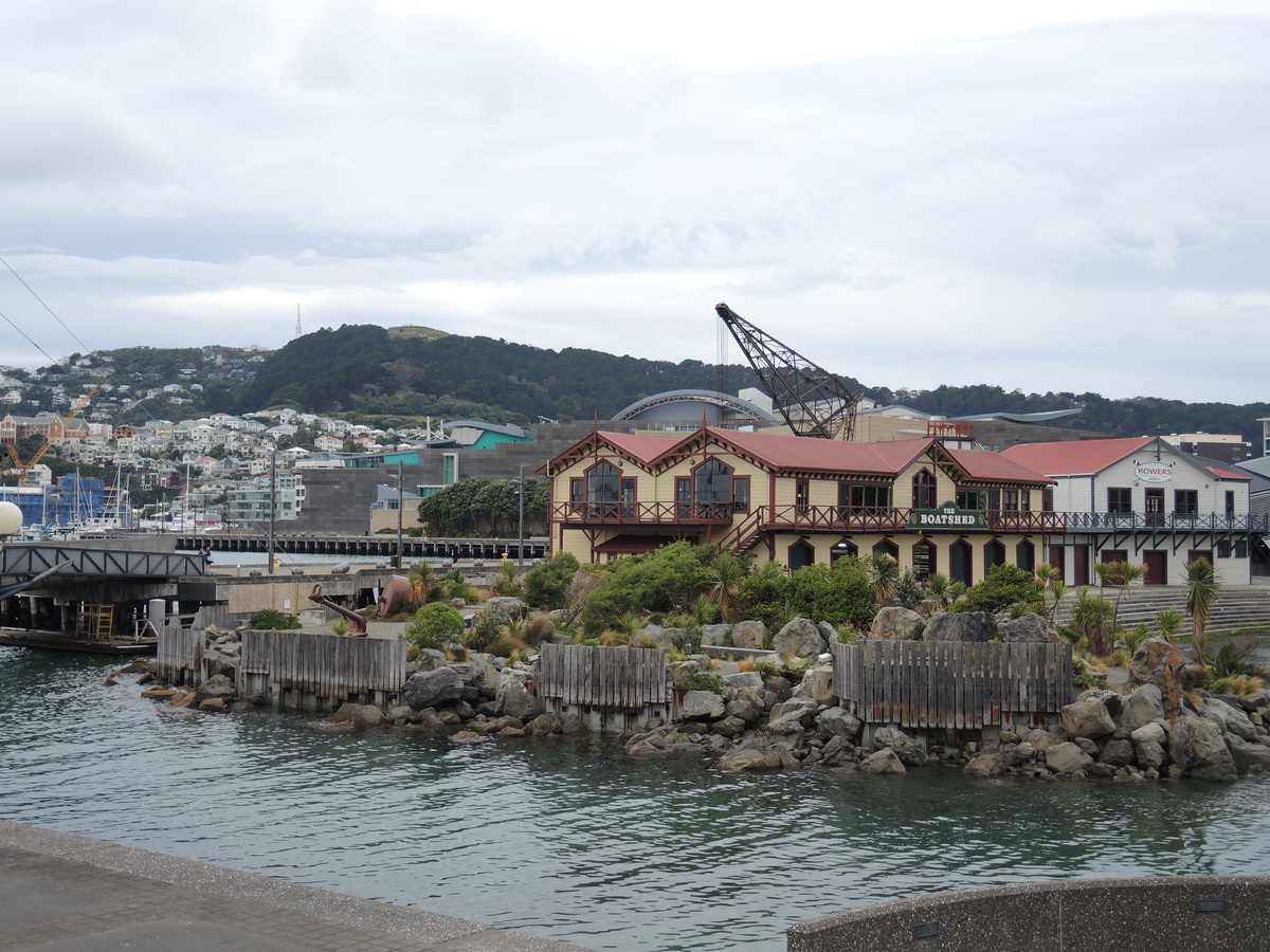 25. – 28.11.2013, Wellington