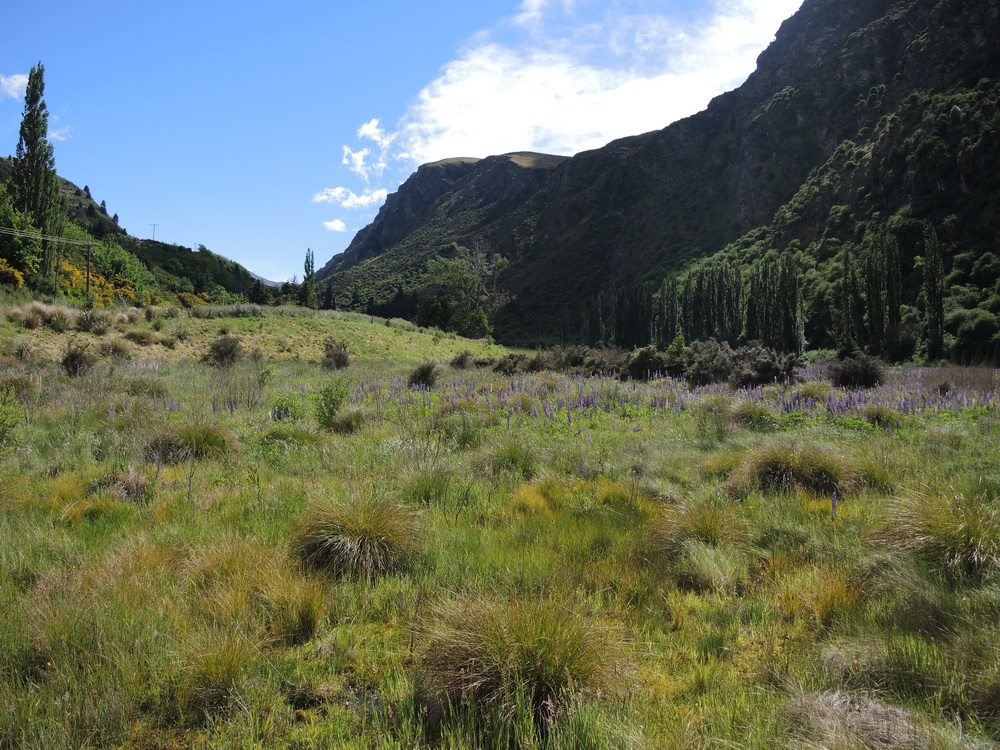 07. – 08.12.2013, Twizel